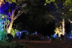DSC01605