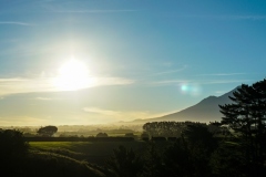 Mountain-View